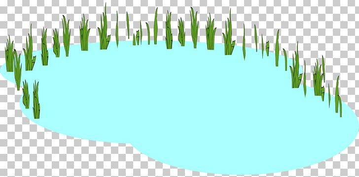 Pond Duck PNG, Clipart, Circle, Com, Duck, Duck Pond, Grass Free PNG Download