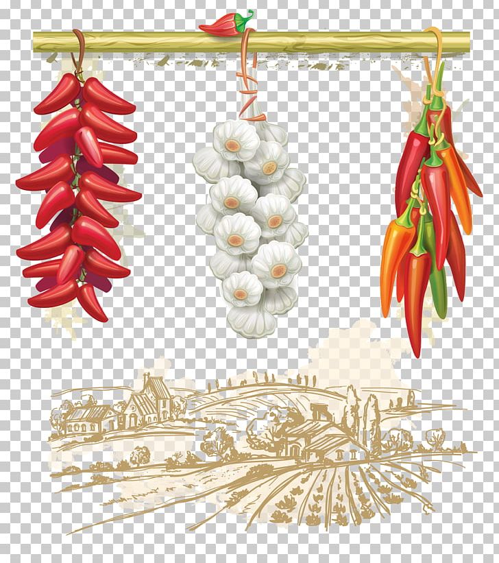 Stock Photography PNG, Clipart, Agriculture Products, Art, Chili Pepper, Christmas Decoration, Decor Free PNG Download