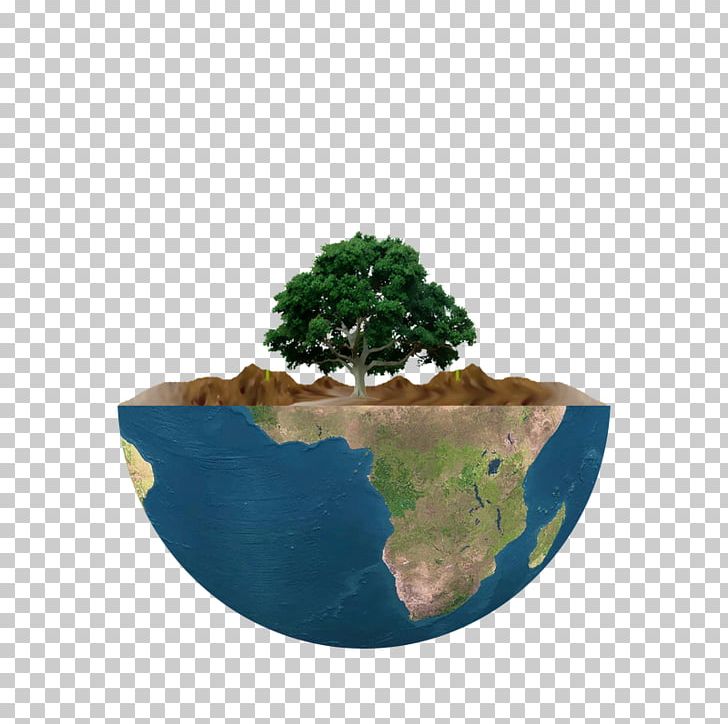 Flowerpot Tree Houseplant Power Politics PNG, Clipart, Definition, Deforestation, Diagram, Flowerpot, Green Day Free PNG Download