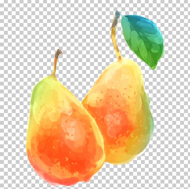 Pyrus Xd7 Bretschneideri Watercolor Painting Auglis PNG, Clipart, Food, Fruit, Fruit Nut, Happy Birthday Vector Images, Natural Foods Free PNG Download