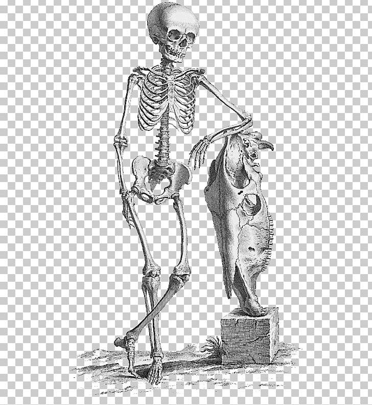 Surgery Anatomy Medicine Bone Human Skeleton PNG, Clipart, Arm, Art, Barber Surgeon, Benjamin Hobson, Black And White Free PNG Download