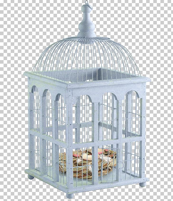4K Resolution PNG, Clipart, 4k Resolution, Bird, Birdcage, Cage, Others Free PNG Download