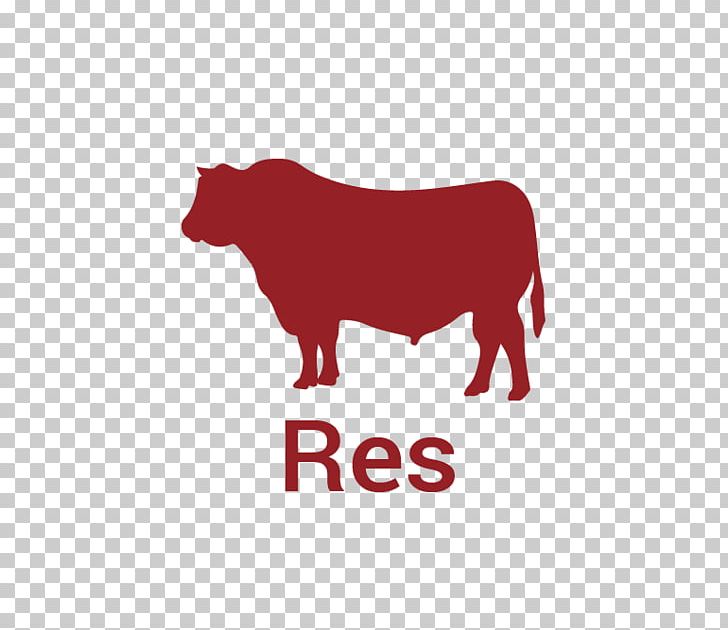 Cattle Logo Bull Brand Font PNG, Clipart, Animals, Area, Brand, Bull, Cattle Free PNG Download