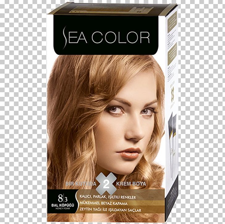 Revlon Colorsilk Paint Hot Chocolate Stock PNG, Clipart, Art, Blond, Brown Hair, Capelli, Caramel Color Free PNG Download
