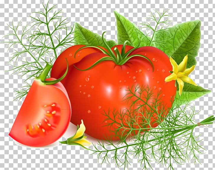 Tomato Soup Ketchup Graphic Design Food PNG, Clipart, Art, Bush Tomato, Cherry Tomato, Diet Food, Food Free PNG Download