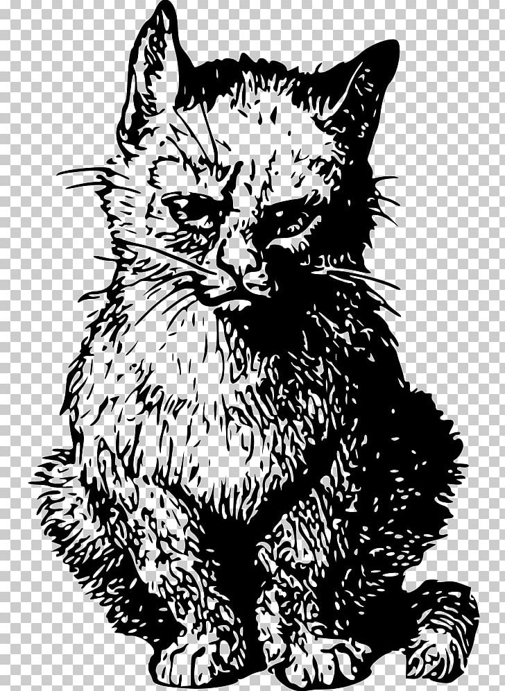 Whiskers Kitten Tabby Cat Domestic Short-haired Cat PNG, Clipart, Angry Cat, Animals, Art, Black, Carnivoran Free PNG Download