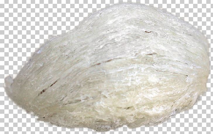 White Edible Birds Nest PNG, Clipart, Animals, Bird, Bird Cage, Birds, Birds Nest Free PNG Download