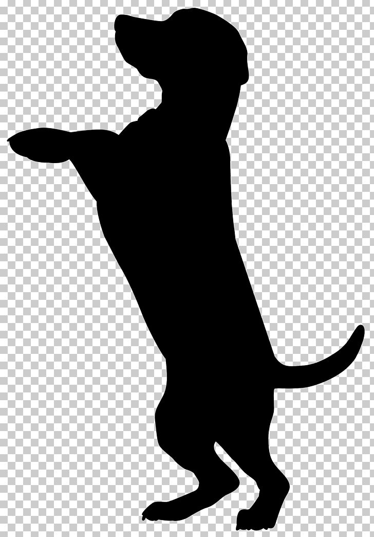 Boxer Dobermann Cat Pet Sitting Silhouette PNG, Clipart, Animal, Black, Black And White, Boxer, Carnivoran Free PNG Download