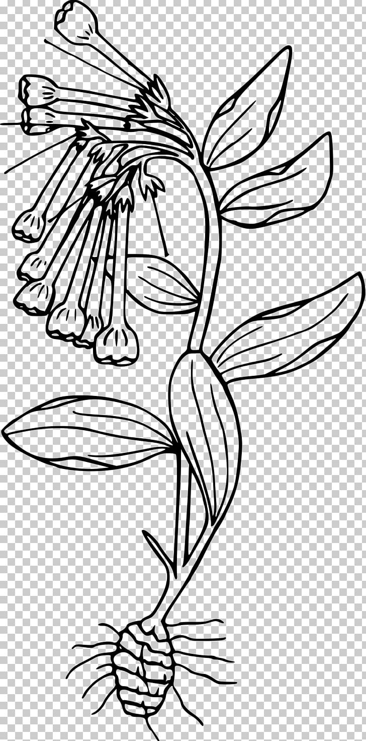 Drawing Black And White PNG, Clipart, Artwork, Black, Black And White, Bluebell, Color Free PNG Download