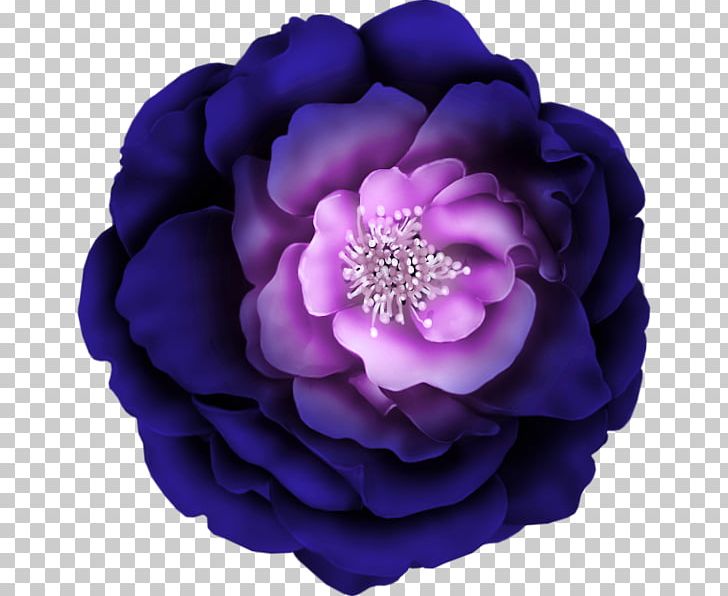 Flower Purple PNG, Clipart, Botany, Encapsulated Postscript, Floral Design, Flower, Gard Free PNG Download
