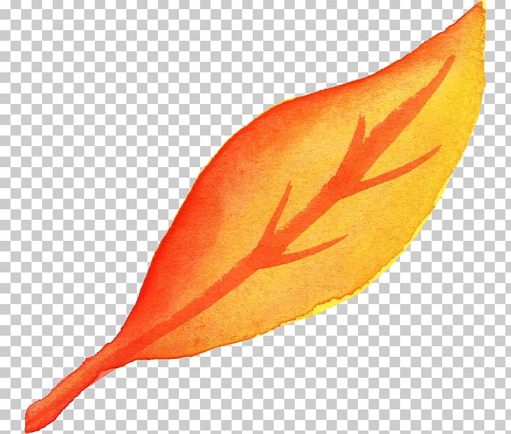 Leaf Watercolor Painting Orange Yellow PNG, Clipart, Art, Autumn, Autumn Leaf Color, Color, Fish Free PNG Download