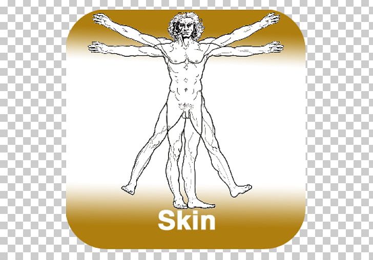 Vitruvian Man The Creation Of Adam Paper Mural PNG, Clipart, Arm, Art, Creation Of Adam, Drawing, Fictional Character Free PNG Download