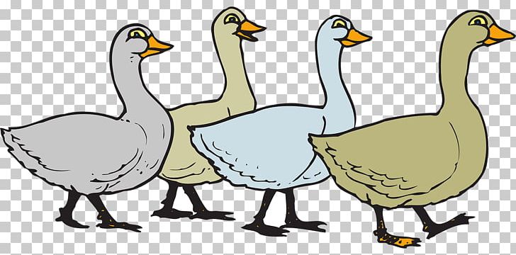 Domestic Goose Bird PNG, Clipart, Animals, Beak, Brown, Canada Goose, Donald Duck Free PNG Download