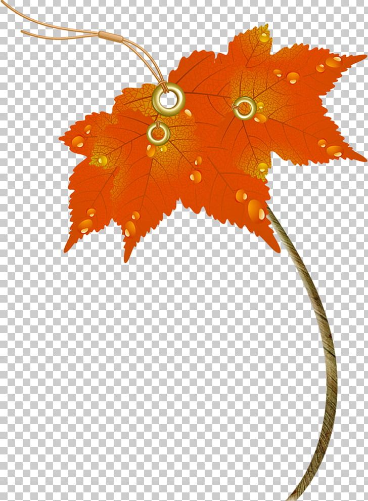 Maple Leaf Umbrella Autumn PNG, Clipart, Auringonvarjo, Autumn, Autumn Leaves, Branch, Download Free PNG Download