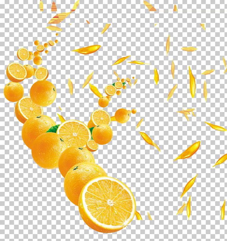 Orange Juice PNG, Clipart, Citric Acid, Citrus, Drink, Food, Fruchtsaft Free PNG Download