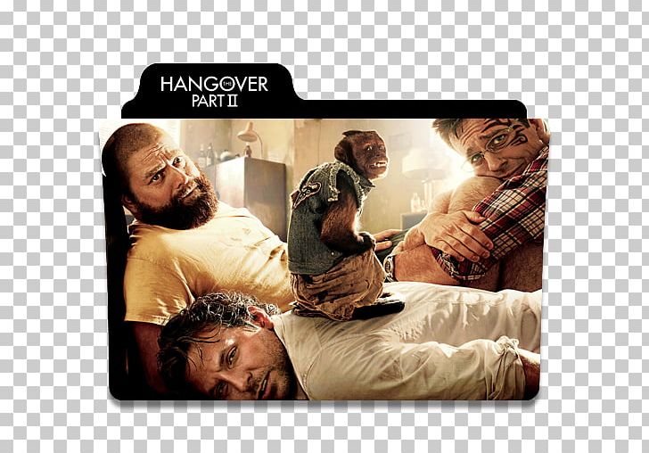 The Hangover Part III Zach Galifianakis Film PNG, Clipart, Ace Ventura, Ace Ventura Pet Detective, Actor, Due Date, Film Free PNG Download