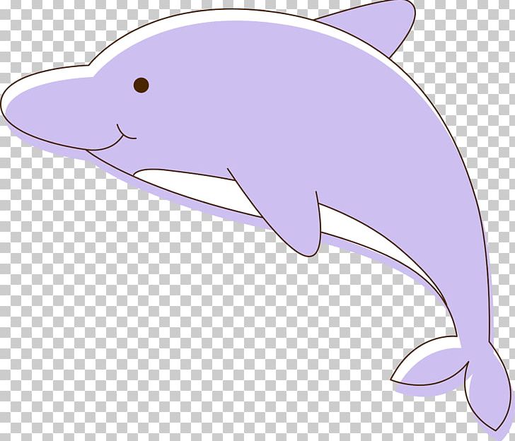 Tucuxi Common Bottlenose Dolphin Porpoise PNG, Clipart, Animals, Cartoon, Cartoon Dolphin, Cute Dolphin, Dolph Free PNG Download