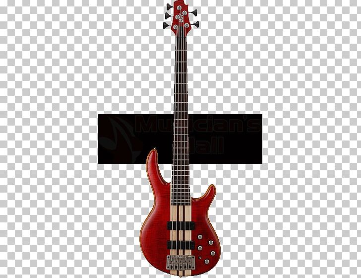 Fender Bass V Cort Guitars Bass Guitar Double Bass PNG, Clipart, Acoustic Electric Guitar, Acoustic Guitar, Action, Bass Guitar, Bol Free PNG Download