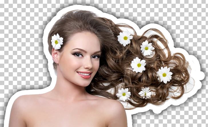 Hairstyle Lace Wig Artificial Hair Integrations Hair Care PNG, Clipart, Artificial Hair Integrations, Beauty, Beauty Parlour, Bob Cut, Bride Free PNG Download