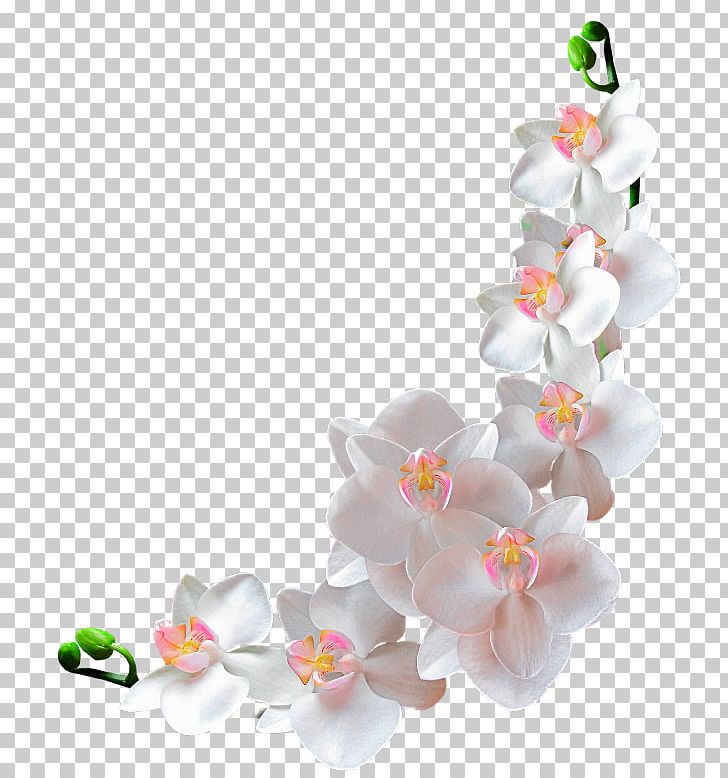 Photographic Film Film Frame Photography PNG, Clipart, Albom, Artificial Flower, Body Jewelry, Cherry Blossom, Cut Flowers Free PNG Download