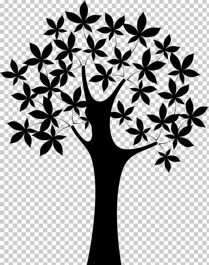 Twig Dreesmann Tree PeekYou Oak PNG, Clipart, Arecaceae, Black And White, Branch, Dreesmann, Flora Free PNG Download