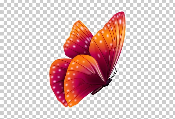 Butterfly Color PNG, Clipart, Butterfly, Color, Computer Icons, Flower, Illustrator Free PNG Download