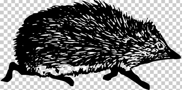 Hedgehog Black And White PNG, Clipart, Animal, Animals, Black And White, Computer Icons, Domesticated Hedgehog Free PNG Download
