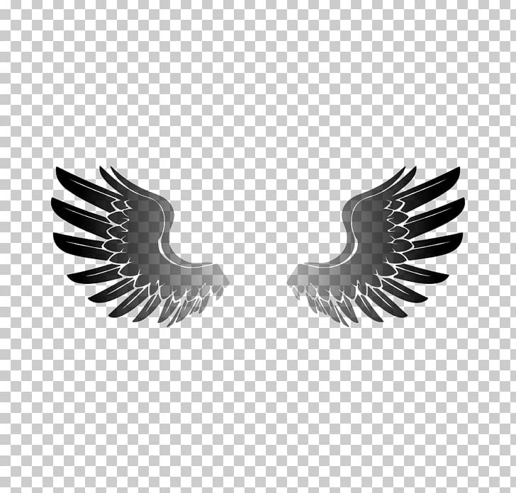 Image File Formats Others Wings PNG, Clipart, Angel Wings, Beak, Bird, Bird Of Prey, Clip Free PNG Download