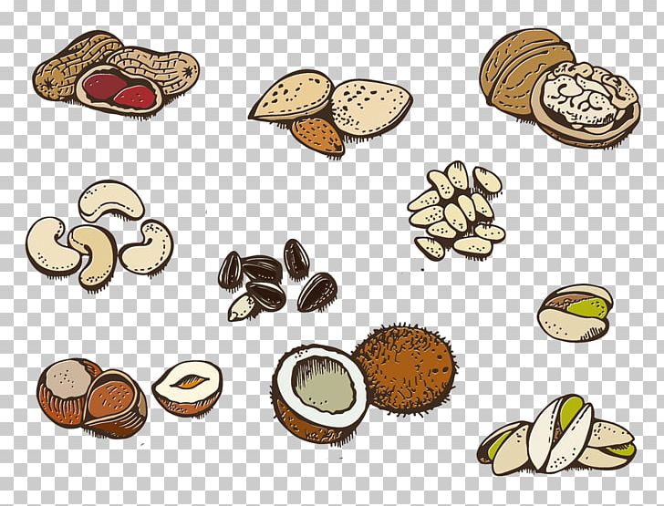 Vegetarian Cuisine Nut Illustration PNG, Clipart, Art, Chestnut, Chinese Chestnut, Drawing, Dried Fruit Free PNG Download