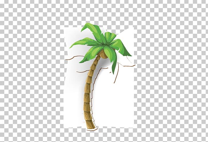 Coconut Tree Arecaceae Illustration PNG, Clipart, Arecaceae, Autumn Tree, Beach, Beach Tree, Christmas Tree Free PNG Download