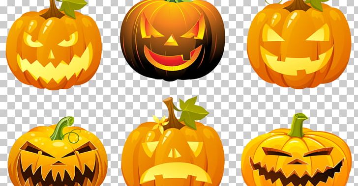 Halloween Calabaza Crookneck Pumpkin Jack-o'-lantern PNG, Clipart,  Free PNG Download
