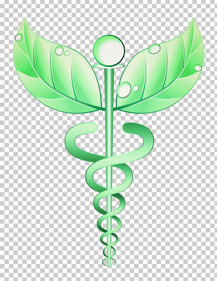 Alternative Health Services Medicine Naturopathy Health Care Staff Of Hermes PNG, Clipart, Acupuncture, Dentistry, Flower, Leaf, Medical Care Free PNG Download