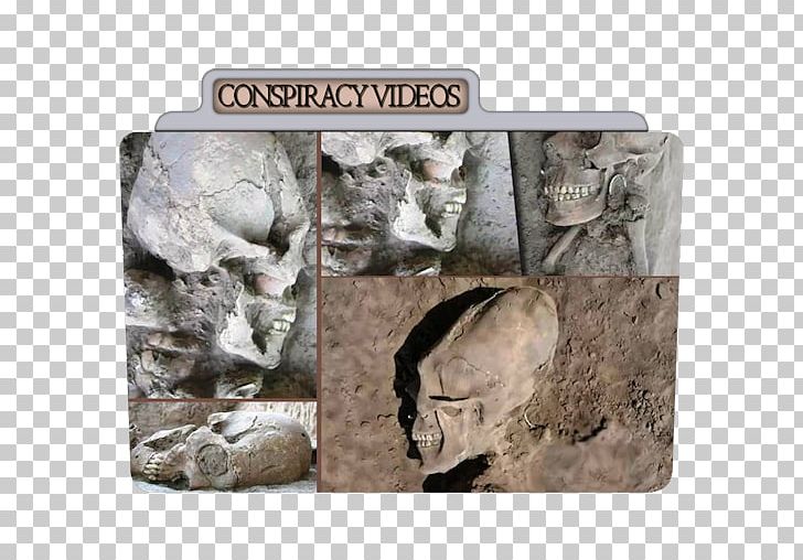 Fauna Fossil Rock PNG, Clipart, Alien, Aliens, Ancient Aliens, Computer Icons, Conspiracy Free PNG Download