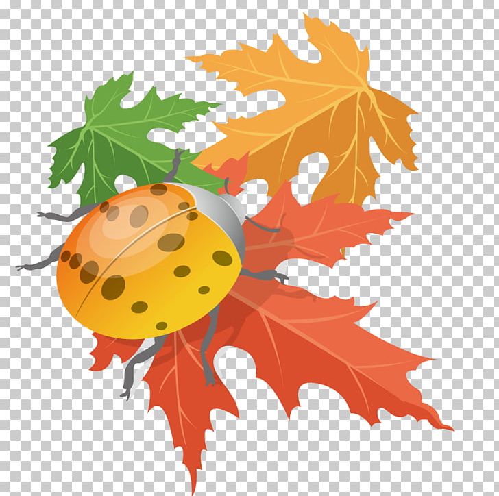 Maple Leaf PNG, Clipart, Adobe Illustrator, Autumn, Autumn Leaves, Branch, Defoliation Free PNG Download