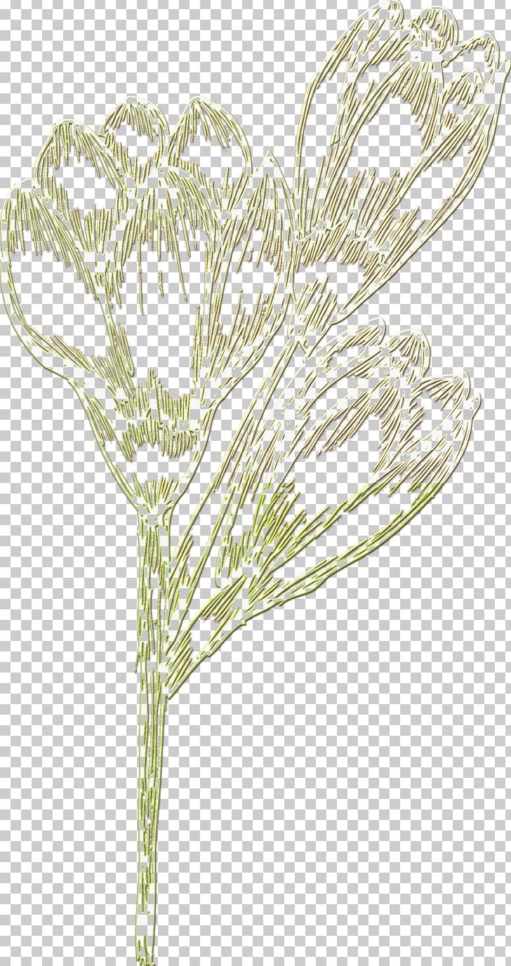 Tree Twig Plant Stem Leaf /m/02csf PNG, Clipart, Black And White, Branch, Delicate, Drawing, Family Free PNG Download