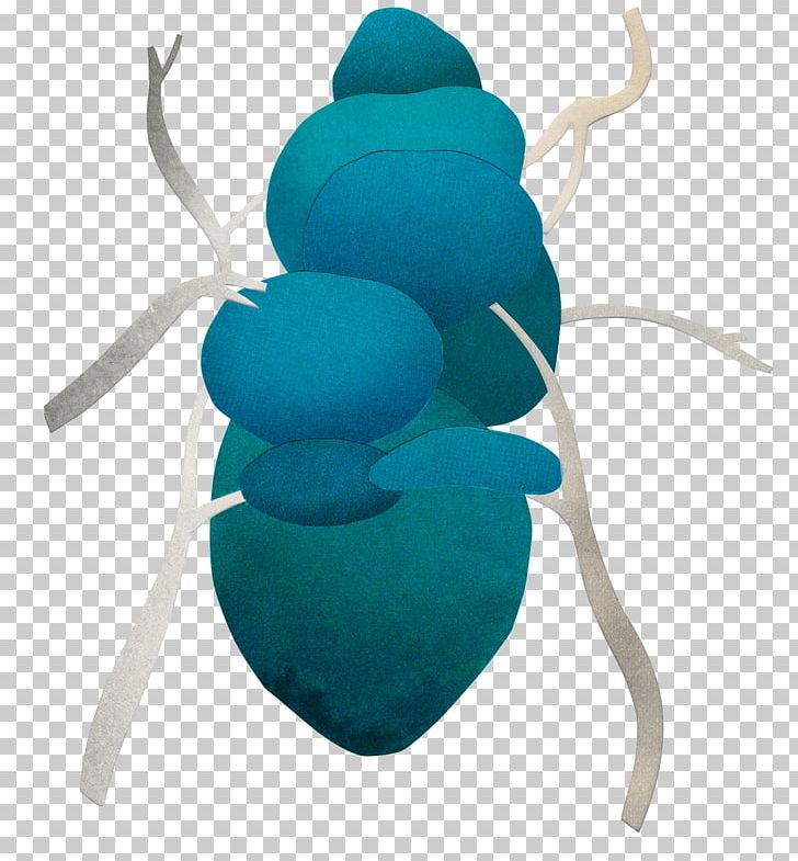 Turquoise Organism PNG, Clipart, Cut, Feel, Him, Jive, Organism Free PNG Download