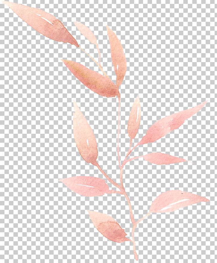 Watercolor Painting Leaf PNG, Clipart, Branch, Download, Encapsulated Postscript, Euclidean Vector, Fall Leaves Free PNG Download