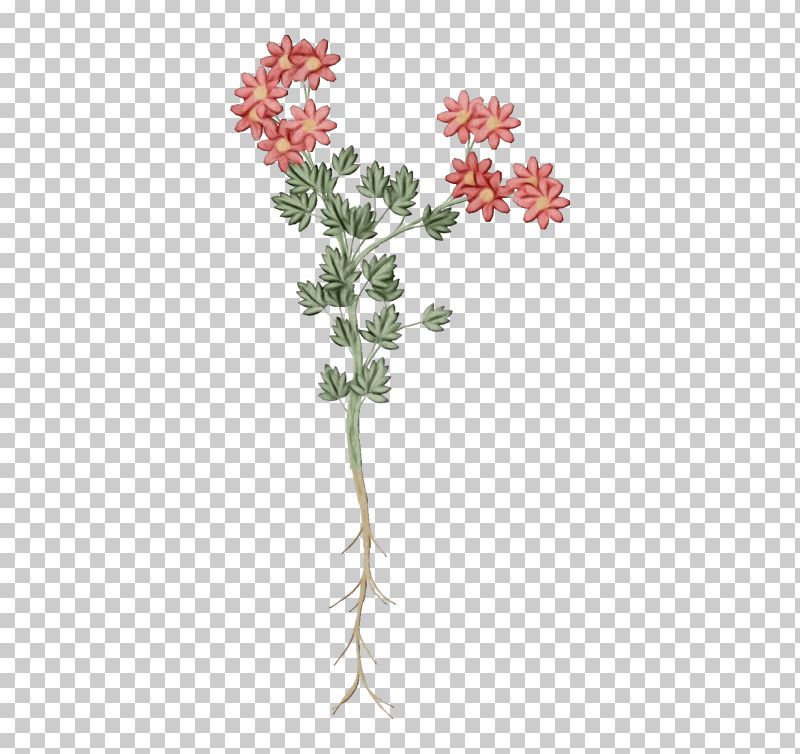 Floral Design PNG, Clipart, Biology, Branching, Cut Flowers, Floral Design, Flower Free PNG Download