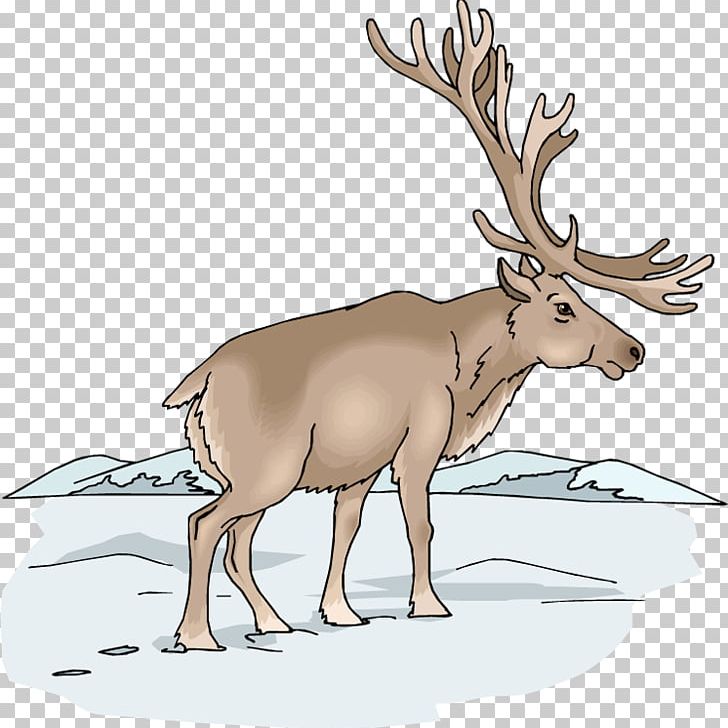 Moose Elk Deer PNG, Clipart, Antler, Cattle Like Mammal, Deer, Elk, Fauna Free PNG Download