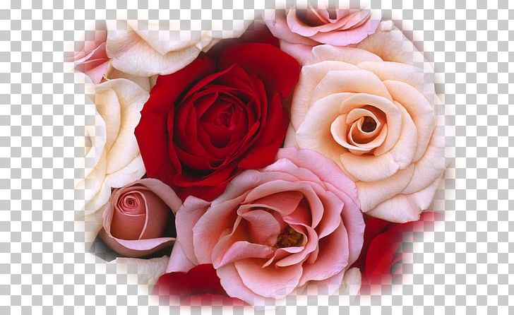 Rose Flower Bouquet Red White PNG, Clipart, Artificial Flower, Blue, Color, Cut Flowers, Desktop Wallpaper Free PNG Download