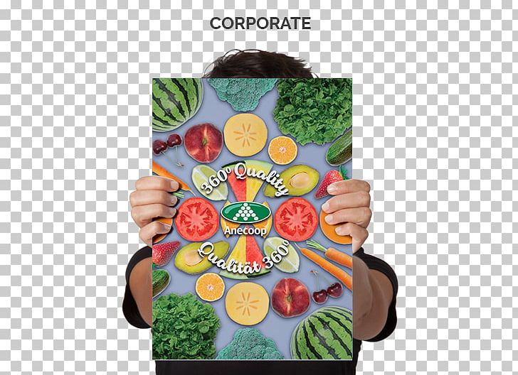 Anecoop S. Coop Cooperative Sandiás Poland PNG, Clipart, Anecoop, Anecoop S Coop, Consumer Electronics, Cooperative, Corporate Flyer Free PNG Download