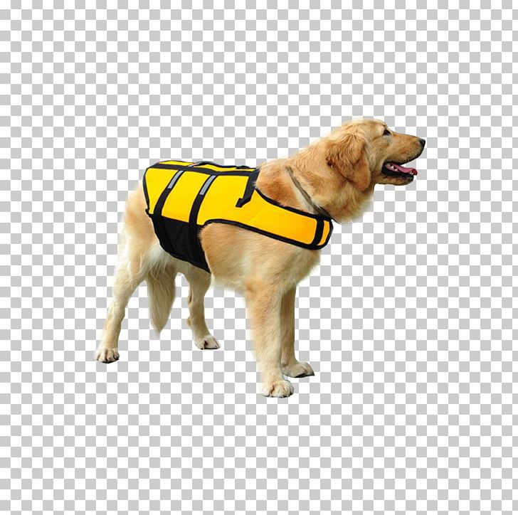 Dog Breed Life Jackets Puppy Companion Dog PNG, Clipart, Animals, Breed, Clothing, Companion Dog, Dog Free PNG Download