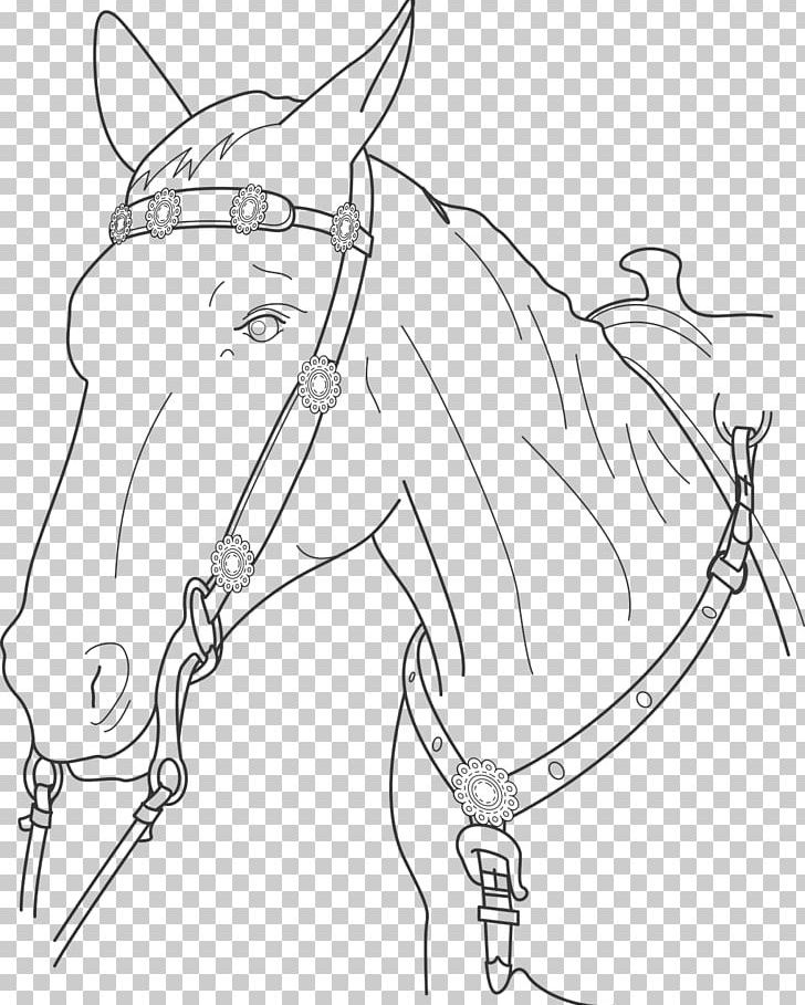 Mule Bridle Mustang Pet Drawing PNG, Clipart, Angle, Animal, Arm, Artwork, Black And White Free PNG Download