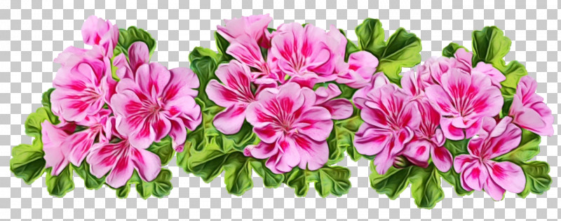Floral Design PNG, Clipart, Azalea, Camera Lens, Cut Flowers, Floral Design, Flower Free PNG Download