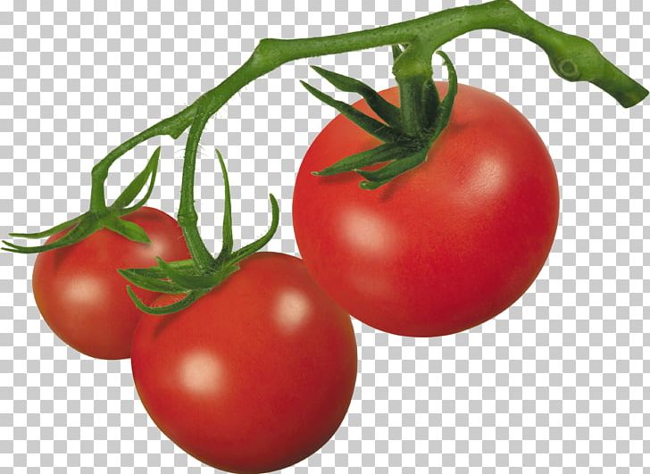 Cherry Tomato Roma Tomato PNG, Clipart, Bush Tomato, Diet Food, Food, Free, Fruit Free PNG Download