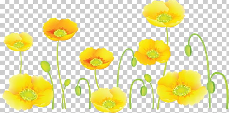 Flower Common Poppy PNG, Clipart, Artificial Flower, Common Poppy, Encapsulated Postscript, Flower, Flowering Plant Free PNG Download