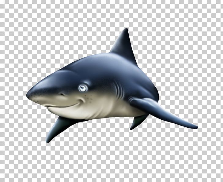Great White Shark Common Bottlenose Dolphin Rough-toothed Dolphin Wholphin Requiem Sharks PNG, Clipart, Animal, Bottlenose Dolphin, Cartilaginous Fish, Elephantidae, Fauna Free PNG Download