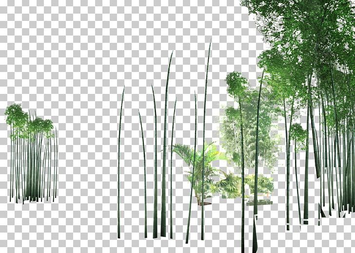 Shulin District Tree Bamboo PNG, Clipart, Angle, Architecture, Bamboo Border, Bamboo Forest, Bamboo Frame Free PNG Download