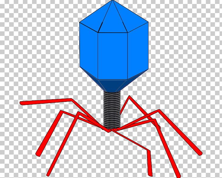 Computer Virus Viral PNG, Clipart, Angle, Antivirus Software, Area, Bacteriophage, Computer Icons Free PNG Download