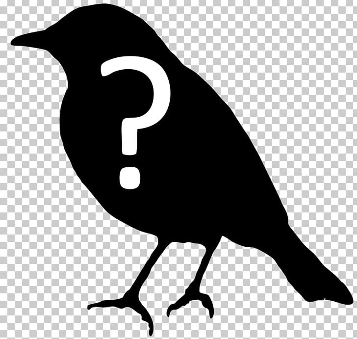 Cornell Lab Of Ornithology Bird PNG, Clipart, Animals, Artwork, Beak, Bird, Black And White Free PNG Download
